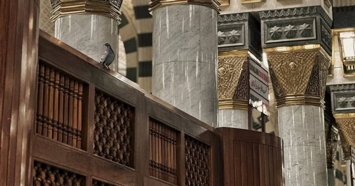 Umrah packages London